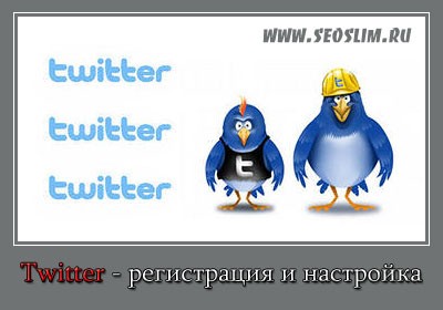Что такое твиттер на русском языке?