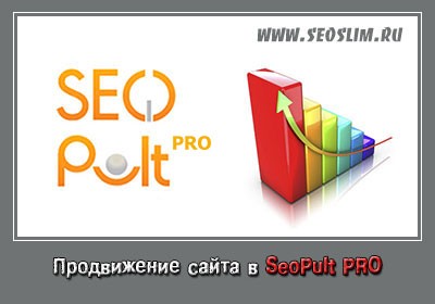 Продвижение сайта в SeoPult Pro